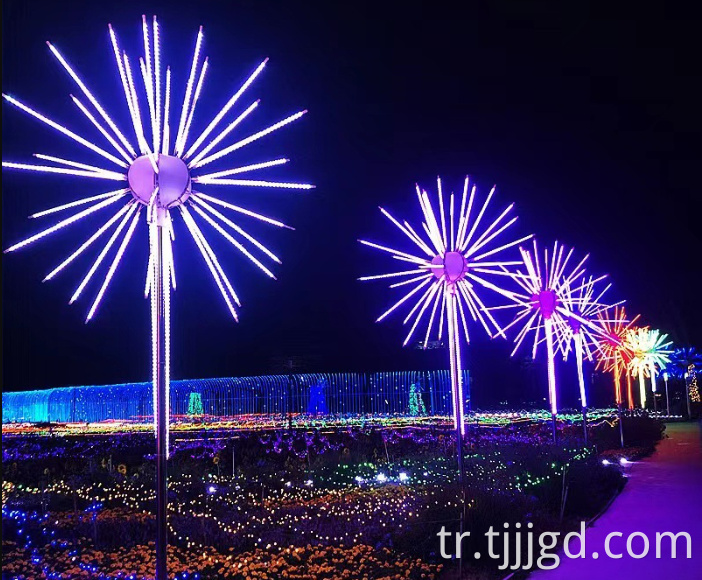 Firework LED Lights Outdoor